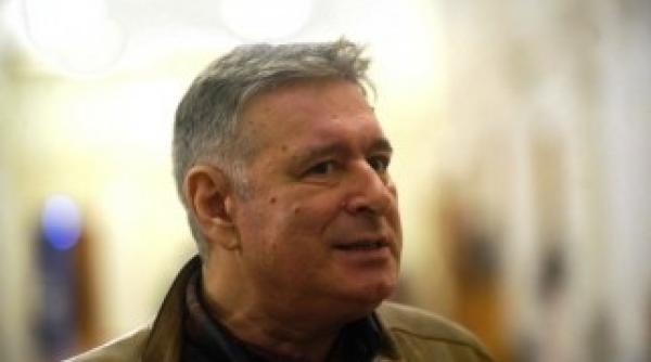 tatiana niculescu bran purtatorul de cuvant al lui klaus iohannis madalin voicu lauda alegerea pre edintelui