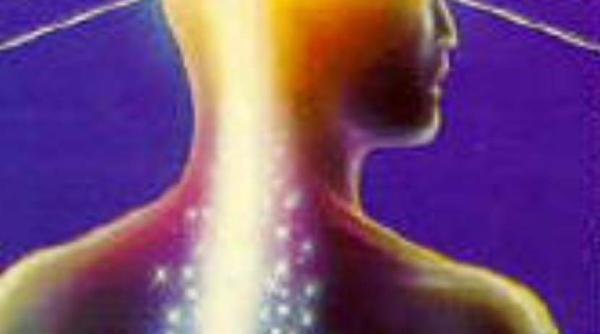 reflexoterapie punctul zu san li care trateaza 100 de boli