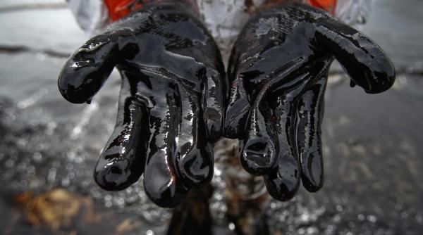 opec desfiin ata petrolul va ajunge la 50 de dolari bank of america