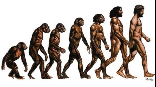 descoperire importanta in istoria omenirii cand au inceput stramosii nostri sa se adapteze la viata terestra