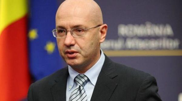 ce spunea ministrul anghel despre diaspora la mangalia in 2013