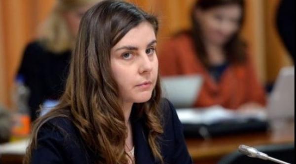 ioana petrescu fostul ministrul al finan elor revine in guvernul ponta iv