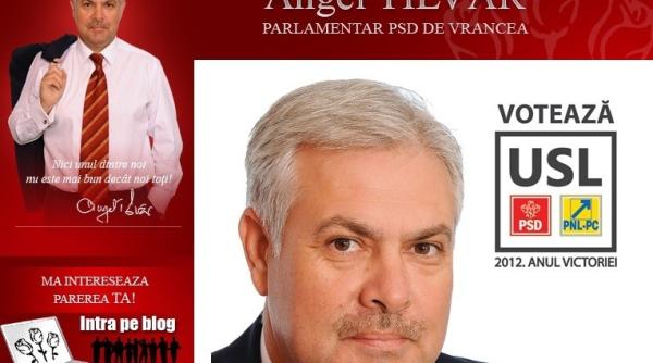 ministrul pentru diaspora se lauda cu o compunere puerila cu gre eli