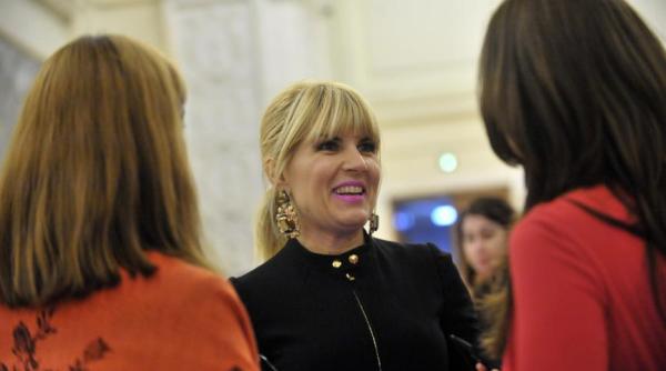 udrea replica dupa ce gorghiu a ajuns pre edinte pnl