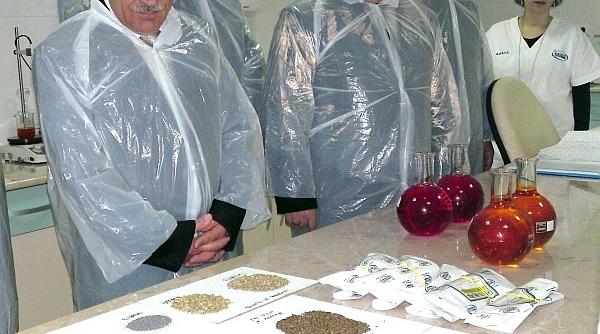 supremia grup lider pe pia a ingredintelor alimentare din romania despre kaizen