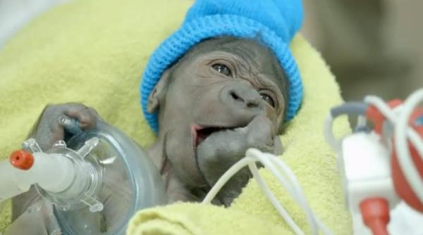 cele mai importante minuni ale tiin ei in 2014 video