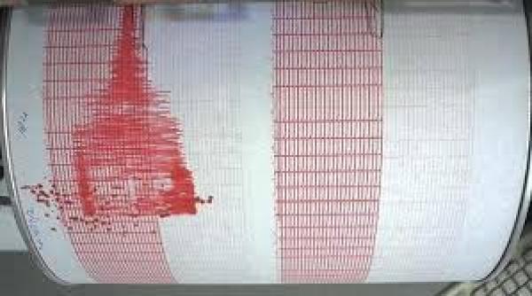 cutremur in vrancea ce magnitudine a avut