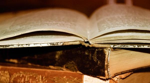 ioan godea fost director al muzeului satului din bucure ti a murit