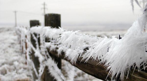 revelion 2015 minus 32 de grade celsius la intorsura buzaului