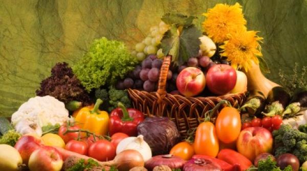 19 plante cu proprieta i antibiotice secrete din farmacia naturii