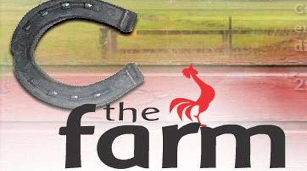 pro tv a cumparat franciza the farm