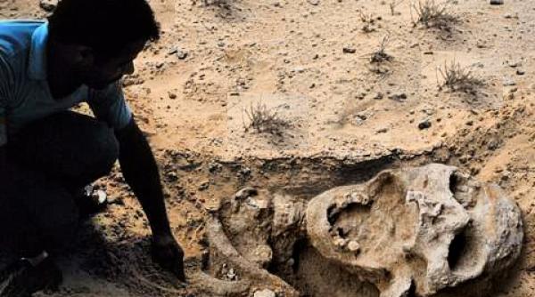 fenomene stranii care sfideaza legile fizicii