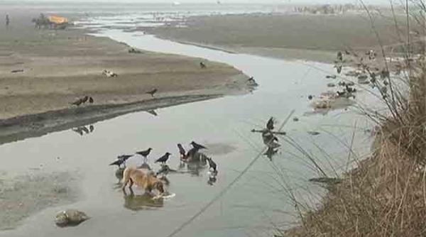 descoperire ocanta in india peste 100 de cadavre pe fluviul gange