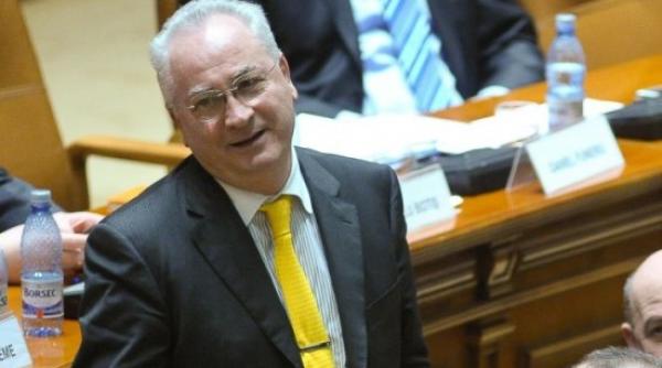 puiu ha otti pnl va propune votul pe model german