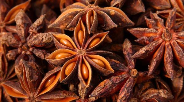 anason stelat beneficii intareste sistemul imunitar combate infertilitatea si previne cancerul gastric