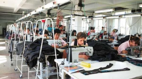 rovana plumb ministrul muncii peste 370 000 de romani si au gasit un loc de munca n 2014