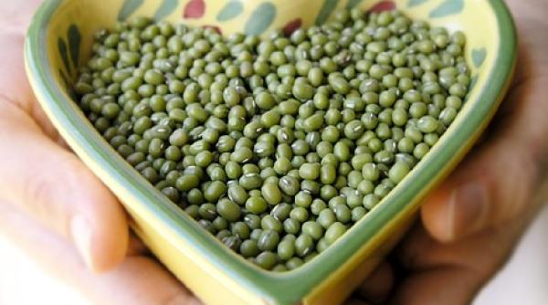 opt curiozitaprc c8prc 9bi nutriprc c8prc 9bionale  afla despre coacazele negre  fasolea mung   