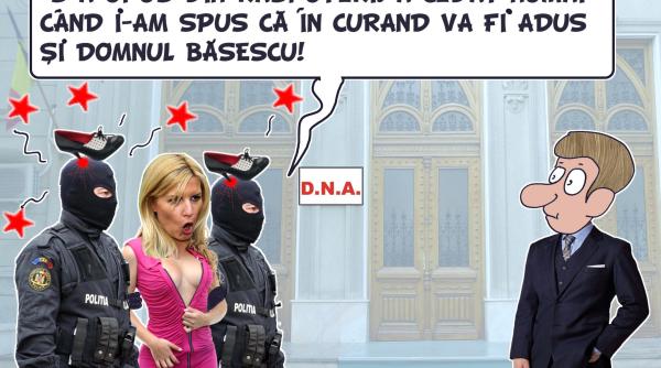 dna elena udrea urmarita penal pentru spalare de bani i fals in declara ii