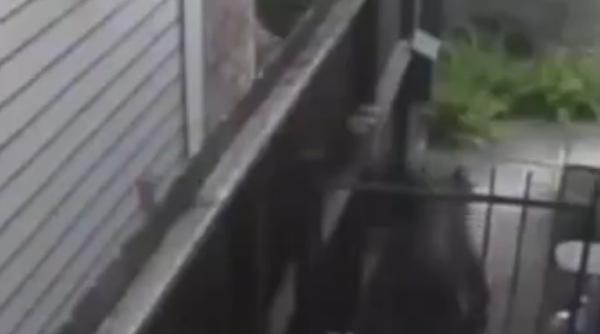 nu a fost acasa cand i a venit pachetul ce a facut curierul l a ocat