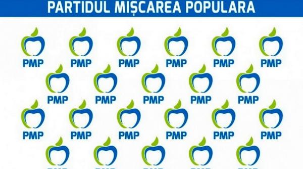 pmp amenda de la aep pentru ca a incalcat legea finan arii partidelor