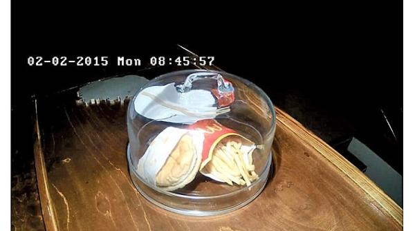 islanda ara in care mancarea de la mcdonald s a ajuns piesa de muzeu