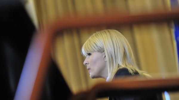 elena udrea dna o noua cerere de arestare in dosarul microsoft