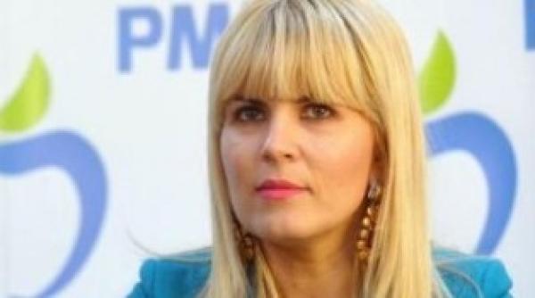 cristian rizea  regret situatia in care s eafla doamna udrea