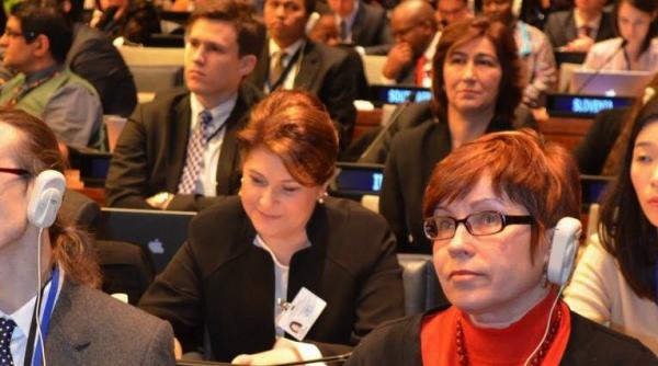 ministrul rovana plumb la onu saracia poate crea un teren propice pentru cre terea curentelor extremiste