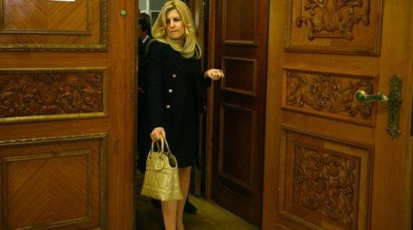 elena udrea ase voturi distincte pentru urmarirea penala i arestarea preventiva