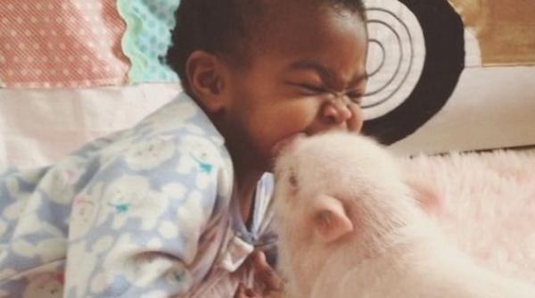 un purcelu i o feti a prietenia lor a facut inconjurul lumii foto