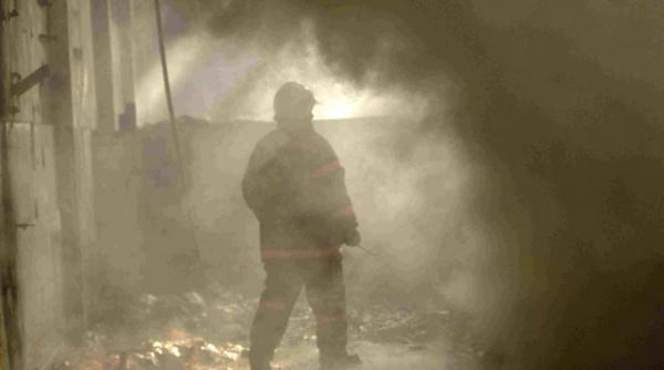 cutremur in romania vrancea de 3 5 pe scara richter trei cutremure vineri