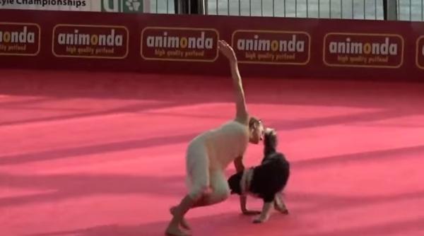 spectacol de dans senza ional oferit de ca elu a lizzy i stapana ei