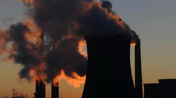 profitul electrica a crescut cu peste 600prc