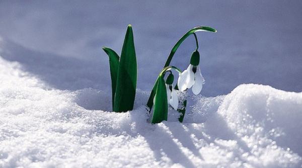 prognoza meteo vremea pentru doua saptamani pe regiuni