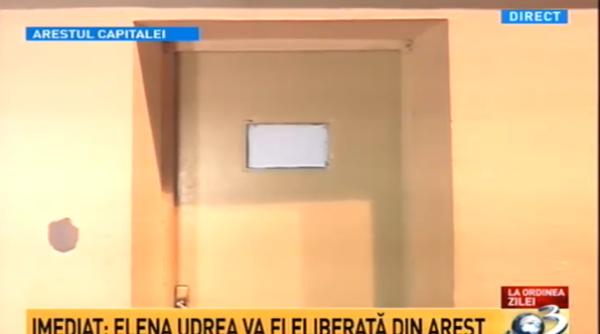 elena udrea a fost eliberata din arestul poli iei capitalei foto