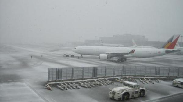 turkish airlines aten ionare mae zboruri anulate