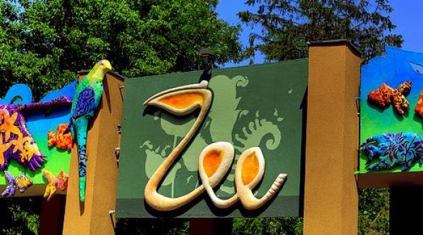 bancul zilei un ardelean la gradina zoologica