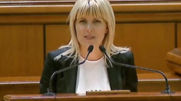 elena udrea dosar bute aviz pentru urmarire penala i arestare preventiva