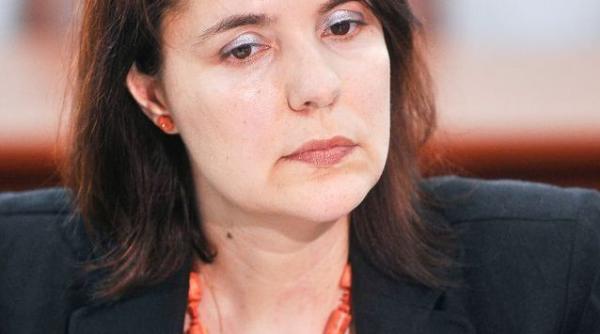 simona maya teodoroiu nou judecator la curtea constitutionala cine este noul judecator