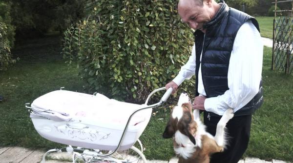 traian basescu a semnat pentru vila mioarei roman are locuin a de protocol dar ramane in vila lac 3