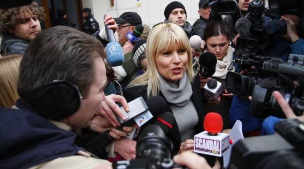 elena udrea la inalta curte deputatul cere sa se prezinte in parlament
