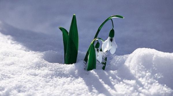 prognoza meteo pentru doua saptamani vremea de 1 i 8 martie ninsori i ploi