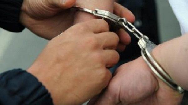 unde duce zanganitul catu elor romania georgia asemanari i deosebiri