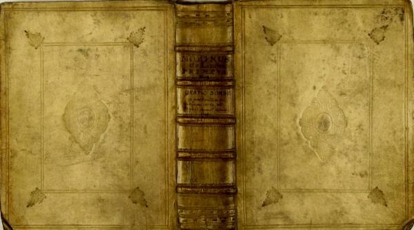 tatal nostru in limba celta asemanare izbitoare cu limba romana