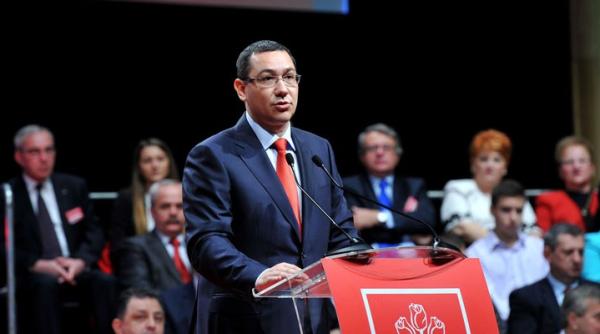 consiliul national al psd cine se bate pentru efia acestuia