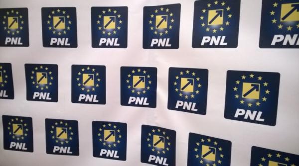 alina gorghiu pnl i i lanseaza programul de guvernare populismul de dreapta