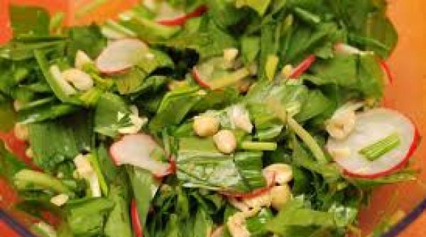 leurda beneficii purifica organismul trateaza bolile gastrointestinale si previne alzheimerul