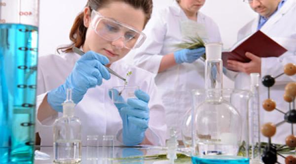 descoperire exceptionala sunt misterioase e o lume despre care nu stim aproape nimic