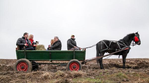 pro tv grila program ferma vedetelor in locul emisiunii sunt celebru scoate ma de aici
