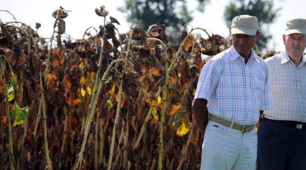 traian basescu sechestru nana parchetul general sesizeaza csm lucian bolca palma publica rasunatoare